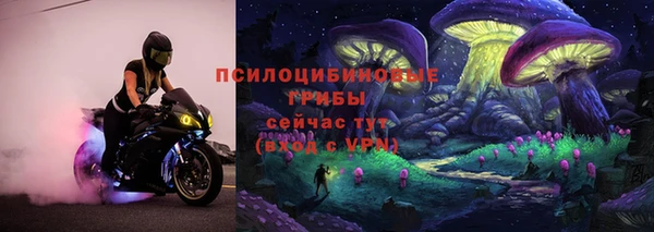 гидра Балахна