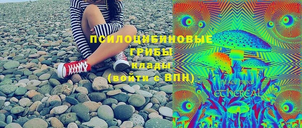 гидра Балахна