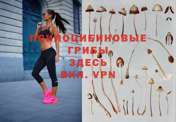 гидра Балахна