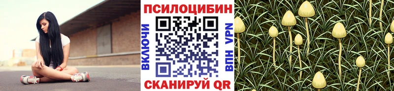 Псилоцибиновые грибы Psilocybine cubensis  мориарти состав  Купино 